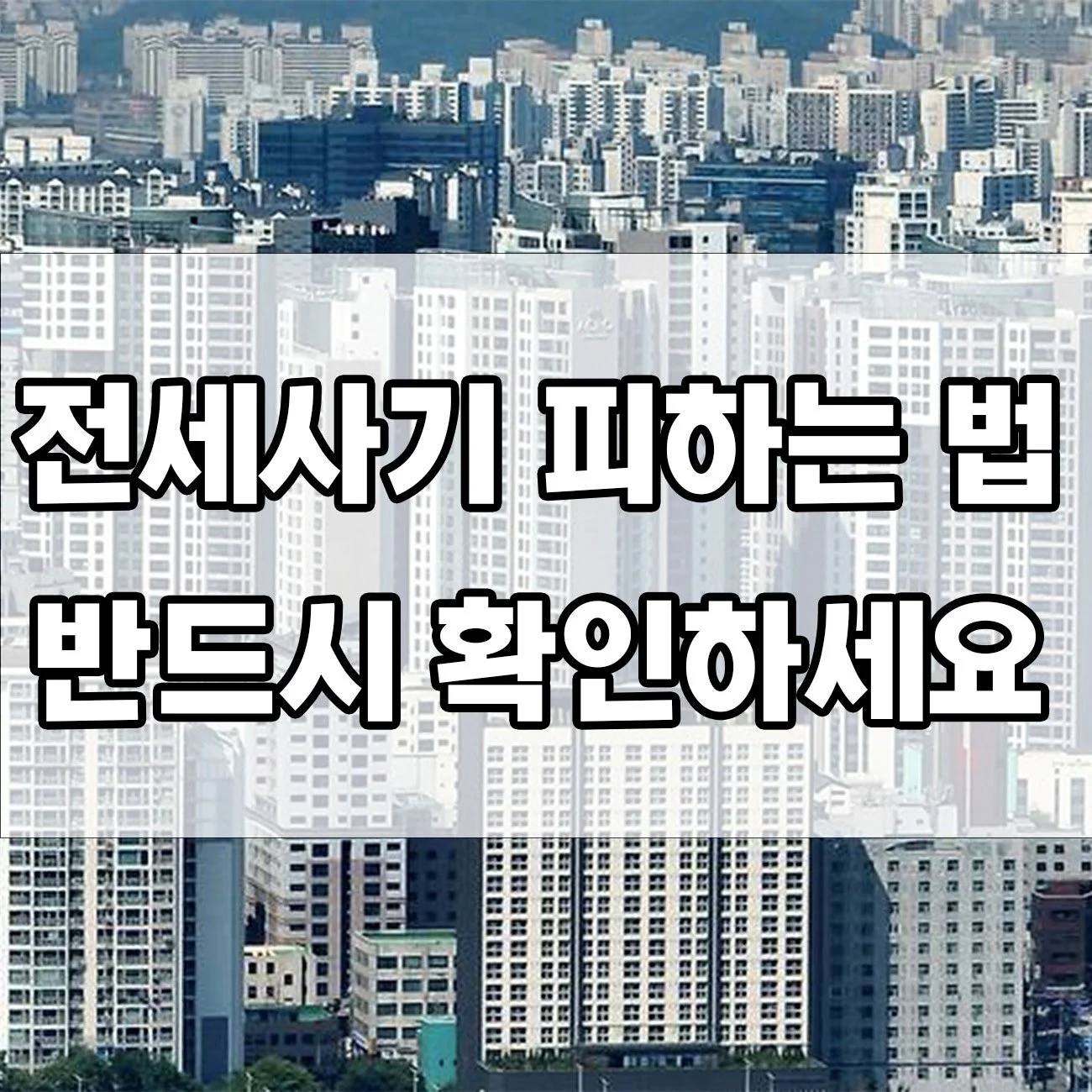 계약서 쓰기 전에 꼭 보세요! 전세사기 당하지 않는 법