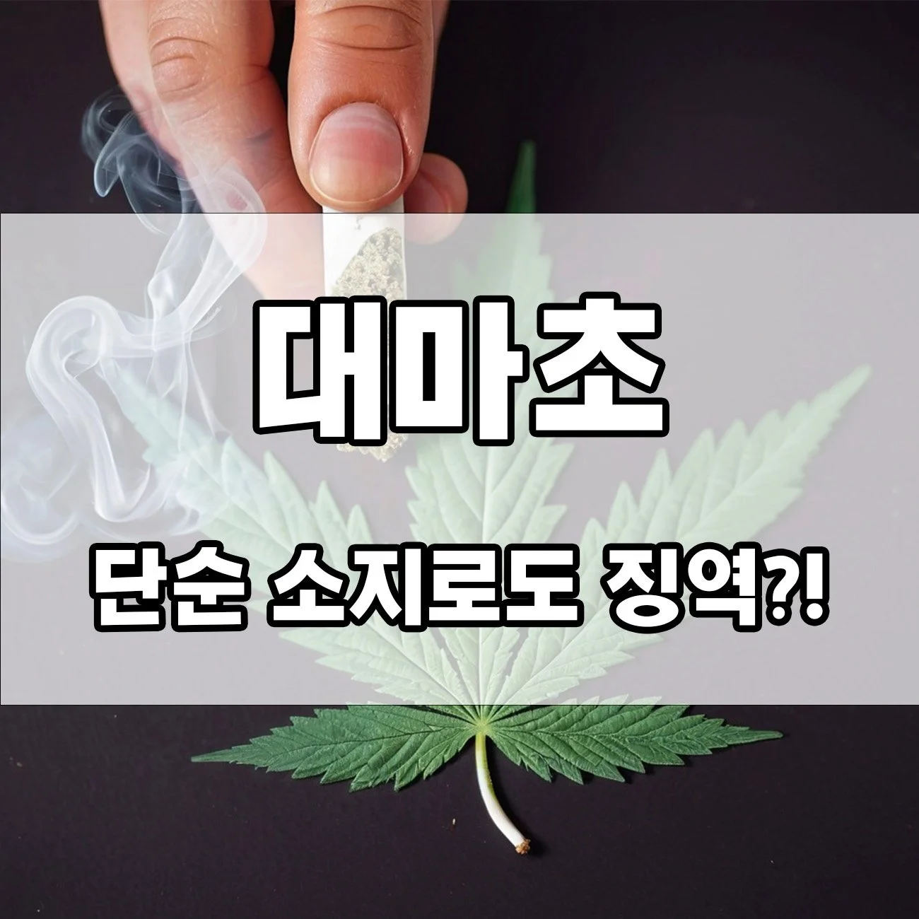 호기심에 피웠다가 인생 끝! 대마초 처벌 수위 공개