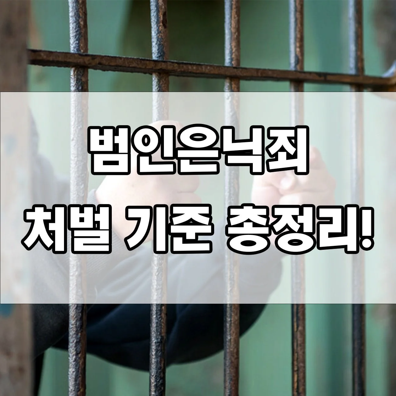 범인은닉죄, 어디까지 처벌될까? 모르면 큰일 나는 법적 기준