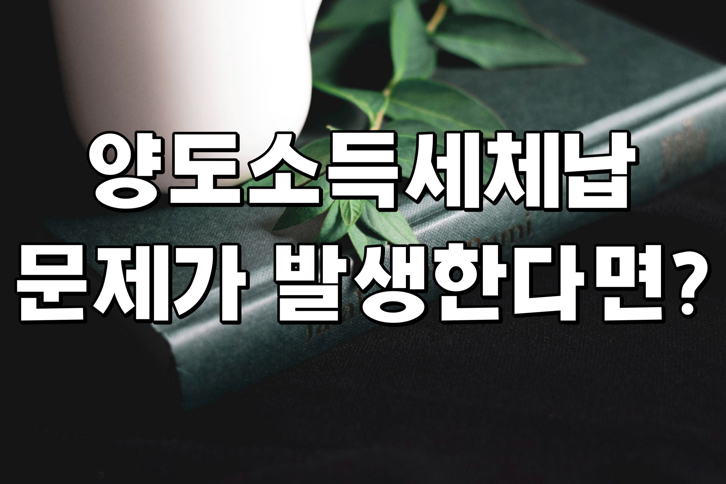 양도소득세체납 문제가 발생한다면? 