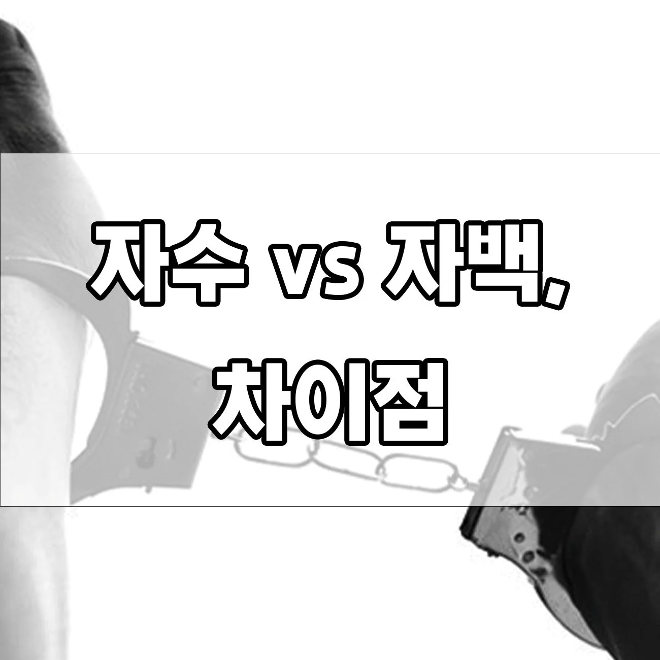 자수 vs 자백, 차이점과 처벌 기준 한 번에 정리!