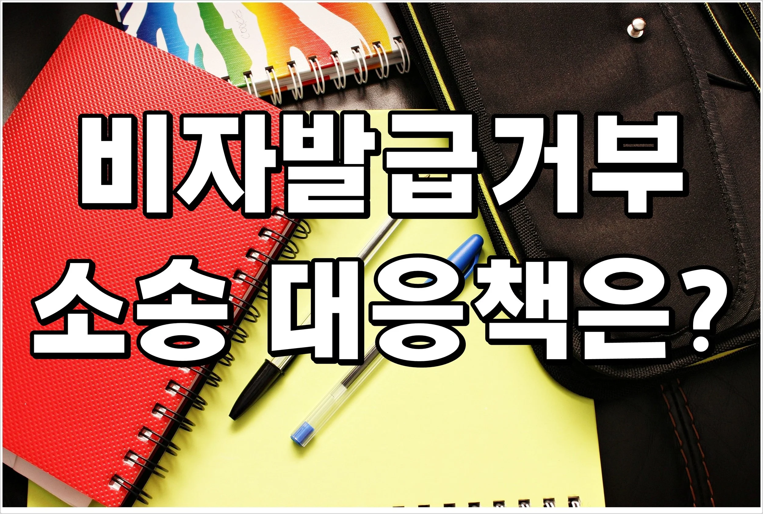 비자 발급 거부 소송 대안책은?