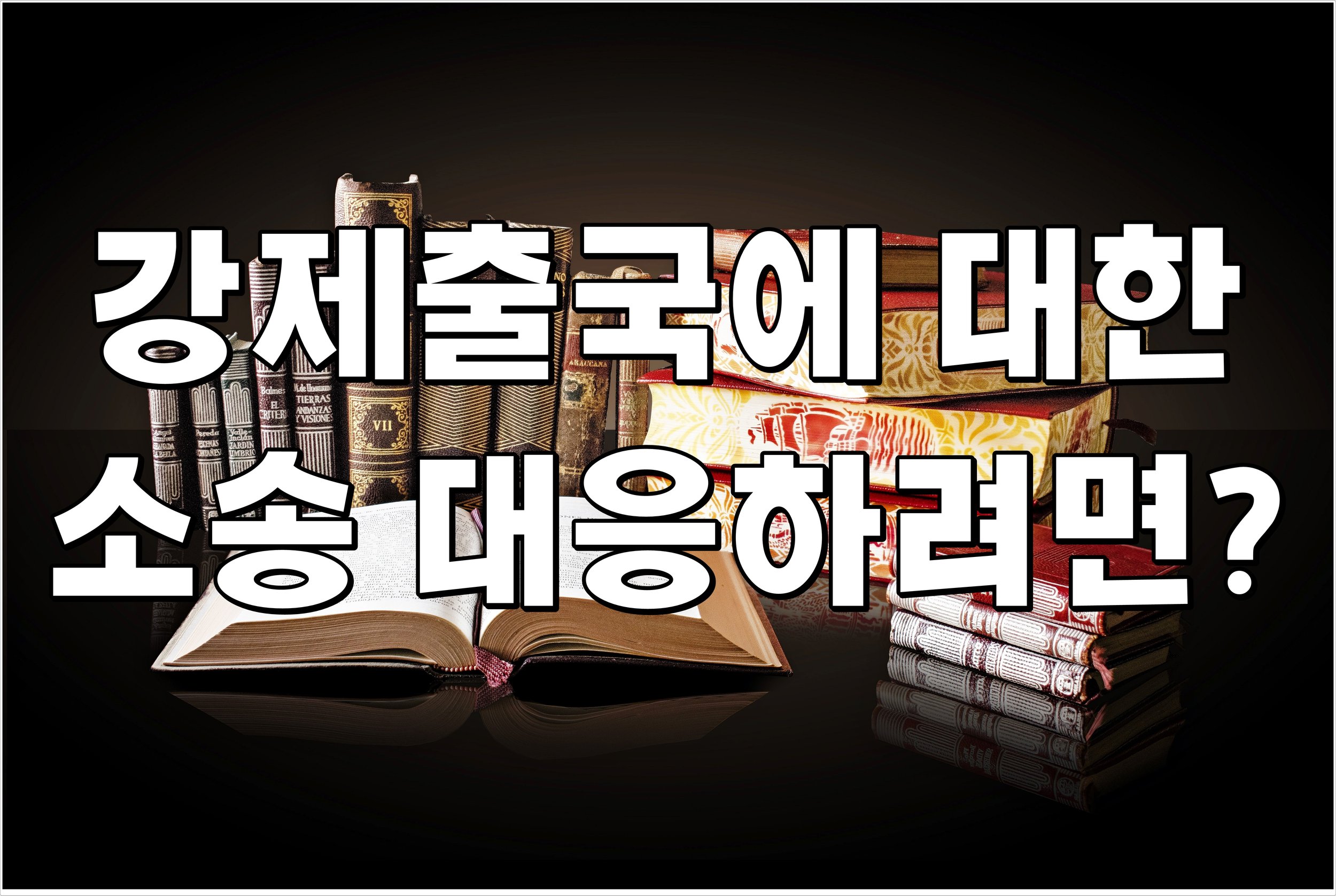 강제 출국에 대한 소송 대응하려면?