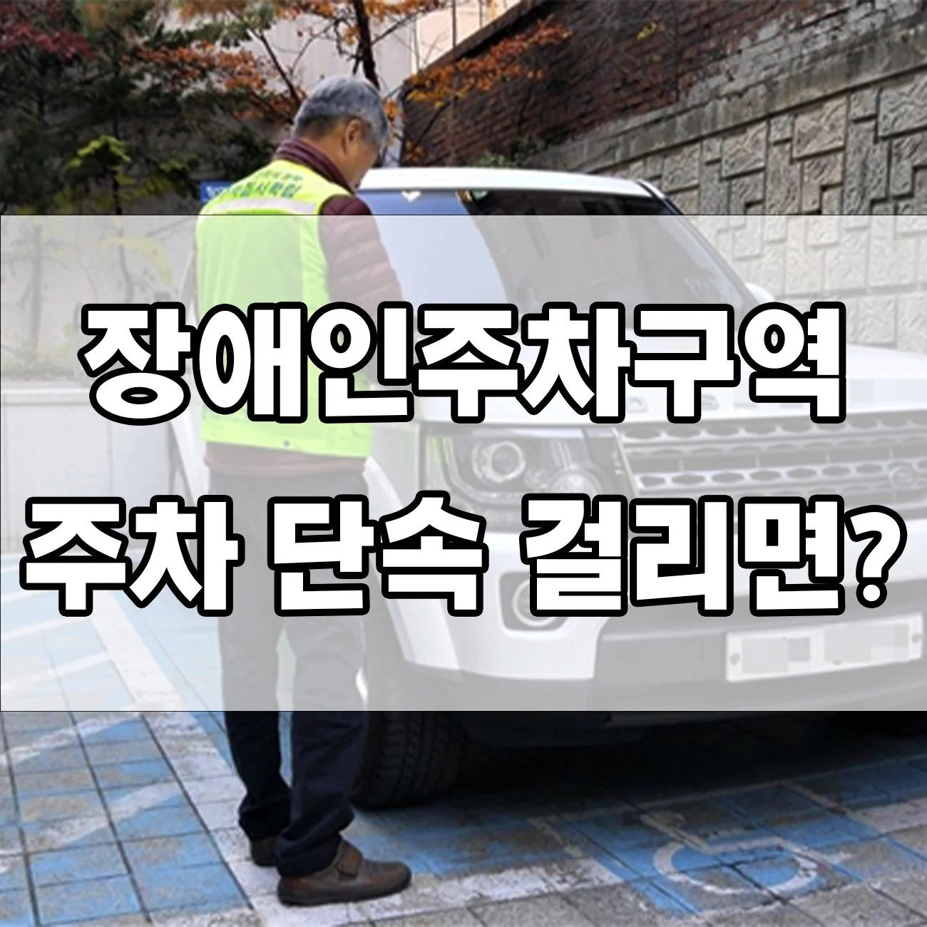 모르고 장애인주차구역에 주차했을 때 처벌은?