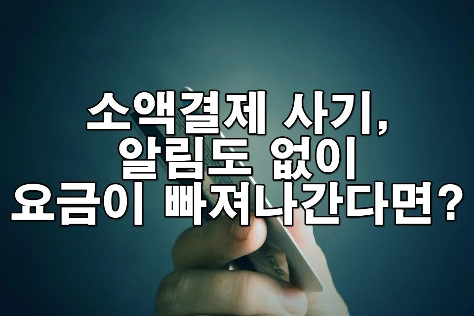 소액결제로 매달 돈이 빠져나가고 있다면? 소비자가 꼭 알아야 할 대처 방법