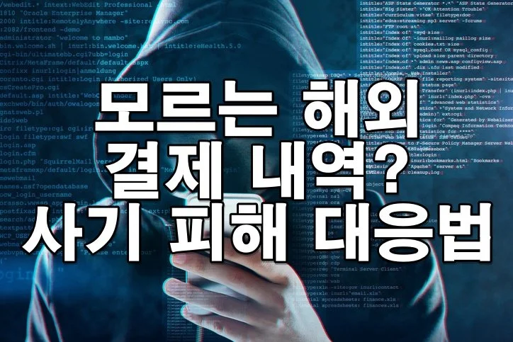 모르는 해외 결제 내역? 사기 피해 대응법과 법적 절차