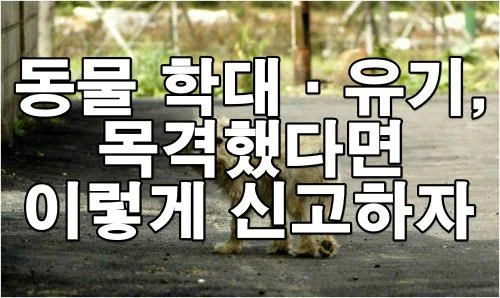 동물 학대·유기, 목격했다면 이렇게 신고하세요