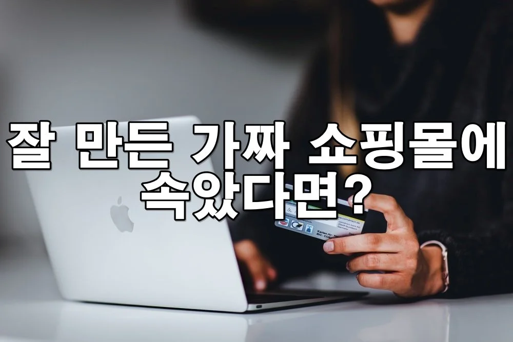잘 만든 가짜 쇼핑몰에 속았다면? 결제 사기 피해 대응법