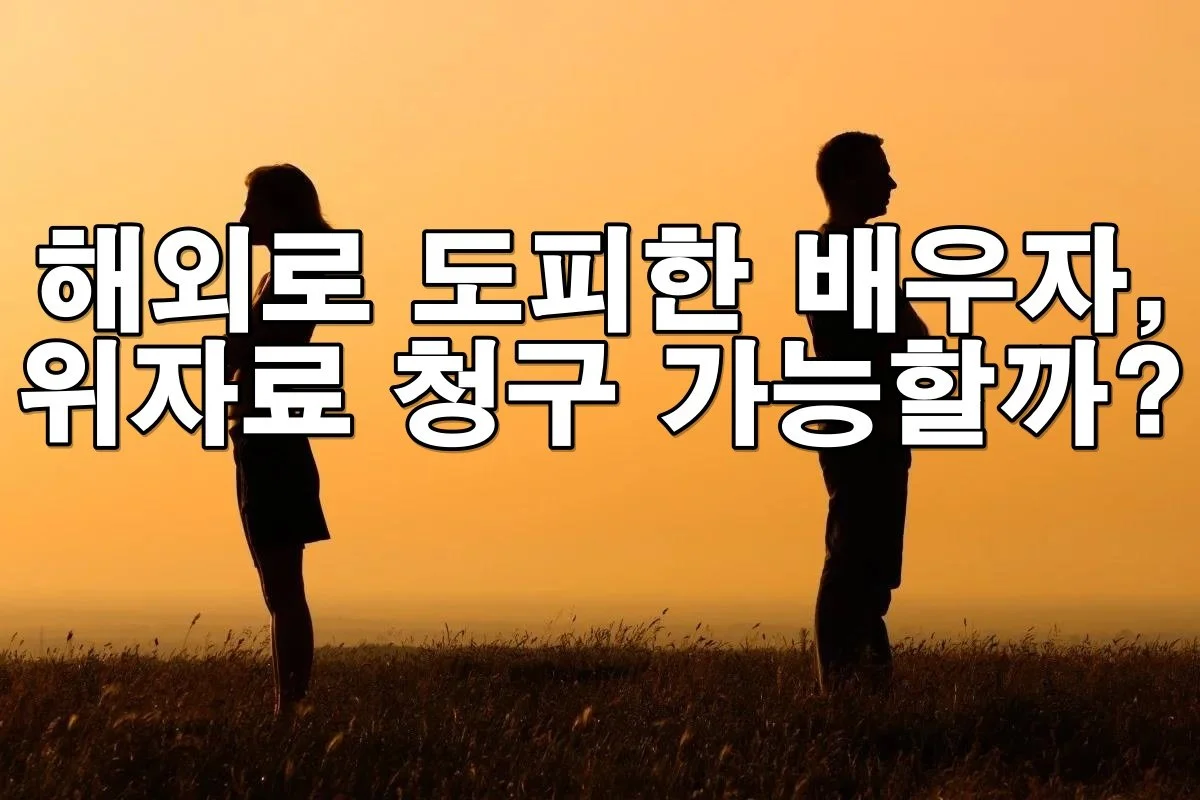 해외로 도피한 배우자, 위자료 청구와 고소 가능한지 알아보기