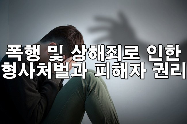 폭행 및 상해죄로 인한 형사처벌과 피해자 권리