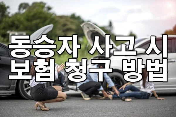 동승자 사고 시 가해 차량 외 보험 청구 방법과 법적 대응