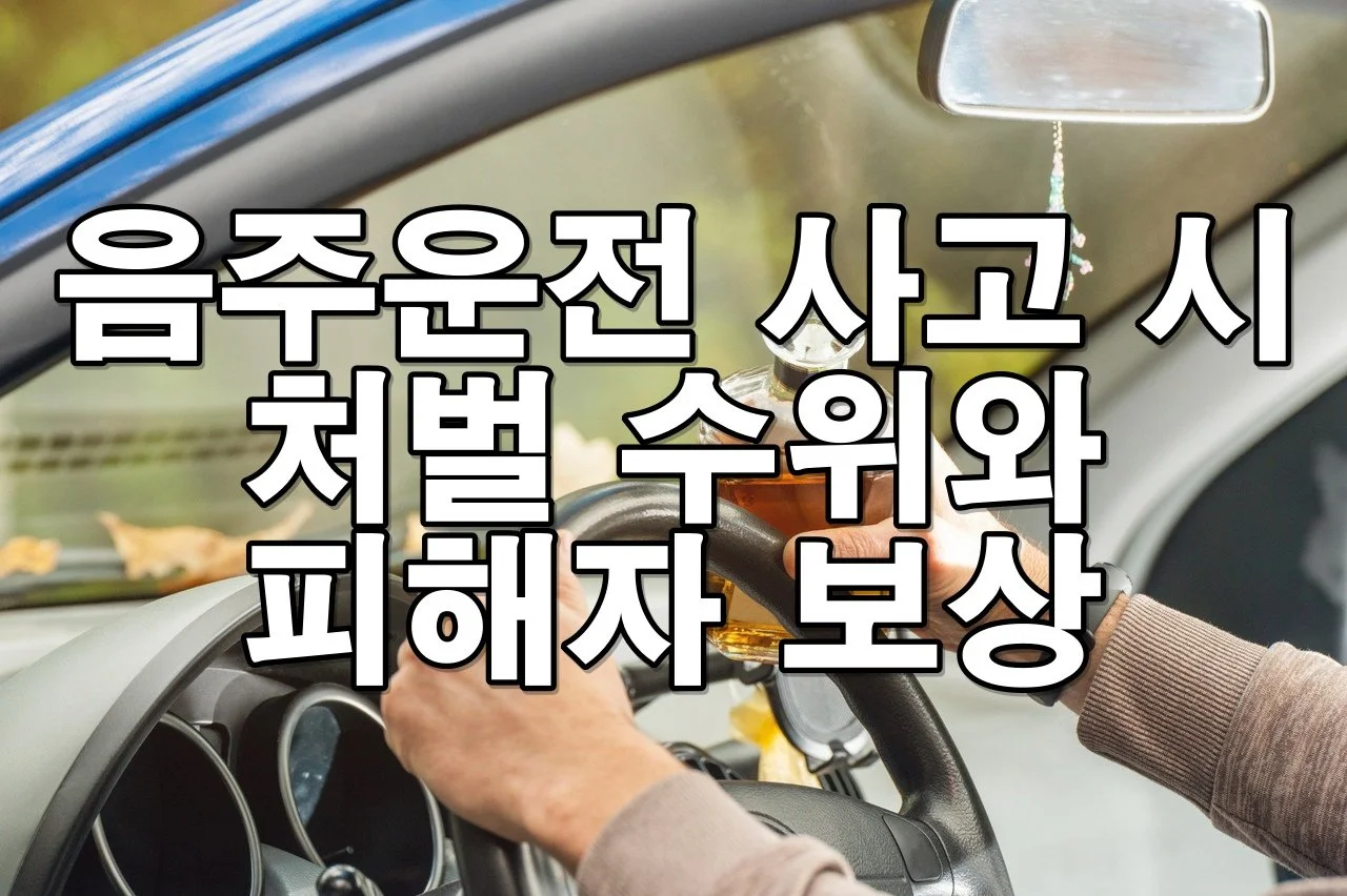 음주사고 피해자라면 반드시 알아야 할 법적 대응과 구제 방법
