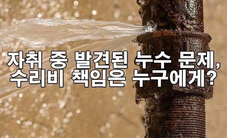 자취 중 발견된 누수 문제, 수리비 책임은 누구에게?