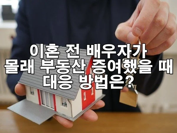 이혼 전 배우자가 몰래 부동산 증여했을 때 대응 방법은?