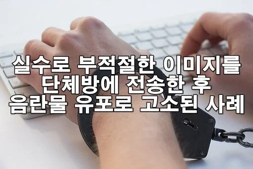 실수로 부적절한 이미지를 단체방에 전송한 후 음란물 유포로 고소된 사례