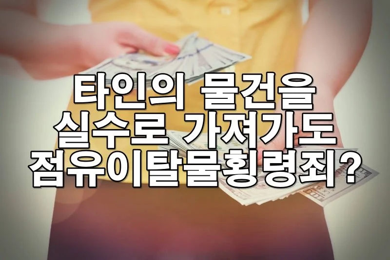 실수로 타인의 물건을 가져갔다가 점유이탈물횡령죄로 이어진 사례