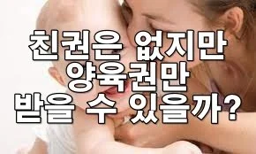 친권은 없지만 양육권만 받을 수 있을까?