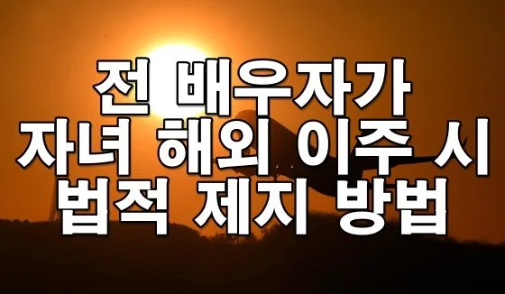전 배우자가 자녀 해외 이주 시 법적 제지 방법
