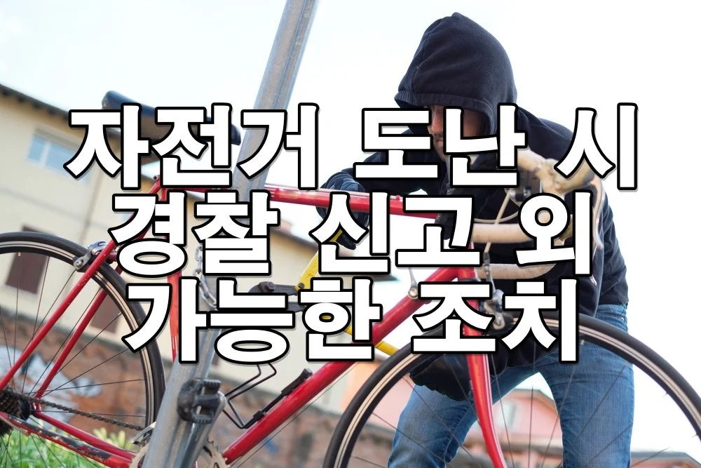 자전거 도난 시 경찰 신고 외에 가능한 조치