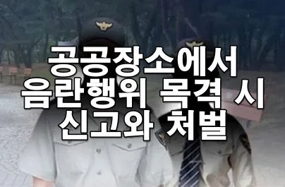 공공장소에서 음란행위 목격 시 신고와 처벌