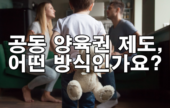 이혼 시 공동 양육권 제도는 어떤 방식인가요?