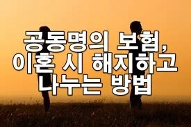 공동명의 보험, 이혼 시 해지하고 나누는 방법