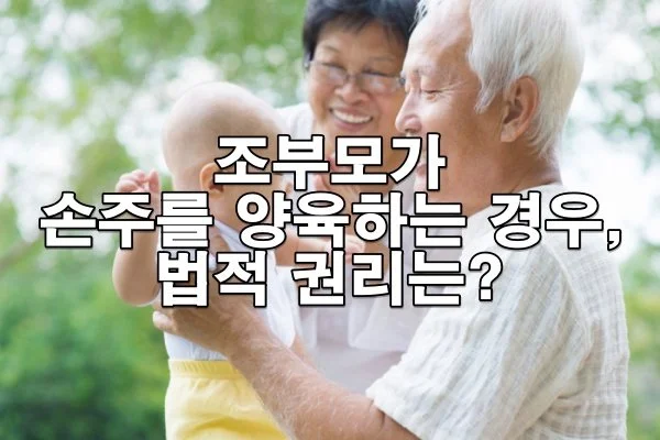 조부모가 손주를 양육하는 경우의 법적 권리