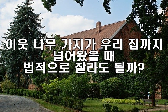 이웃 나무 가지가 우리 집까지 넘어왔을 때 법적으로 자를 수 있을까?