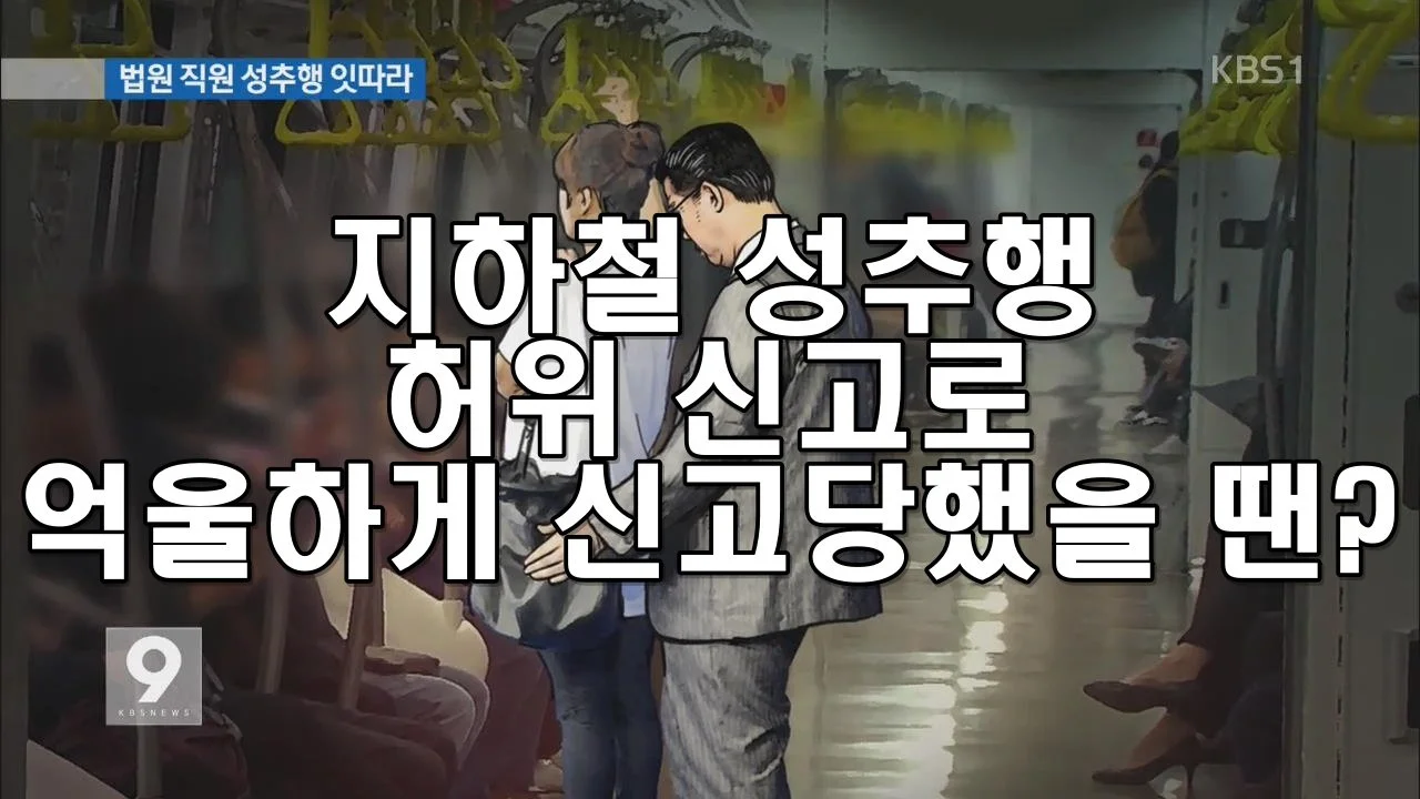 지하철 성추행 허위 신고로 억울하게 신고당했을 때
