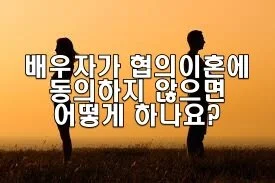 배우자가 협의이혼에 동의하지 않으면 어떻게 하나요?