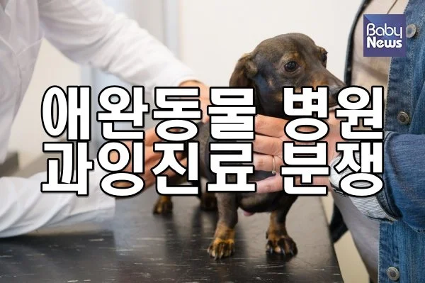 애완동물 병원 과잉진료 분쟁