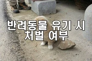 반려동물 유기 시 처벌 여부