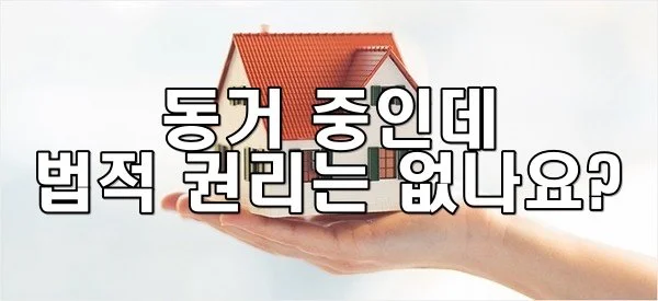 동거 중인데 법적 권리는 없나요?