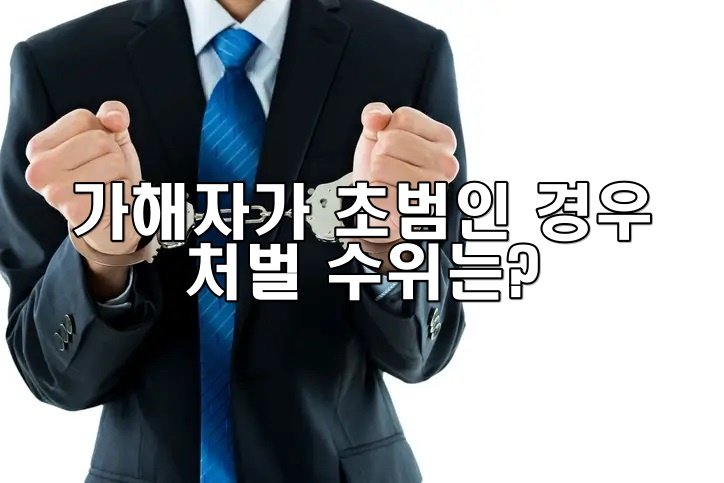 가해자가 초범인 경우 처벌 수위는?