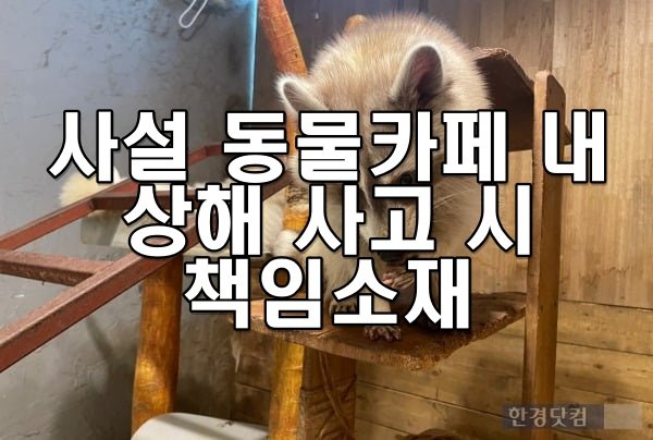 사설 동물카페 내 상해 사고 시 책임소재