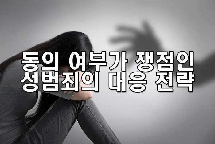 동의 여부가 쟁점인 성범죄의 대응 전략