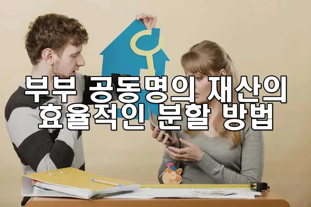 부부 공동명의 재산의 효율적인 분할 방법