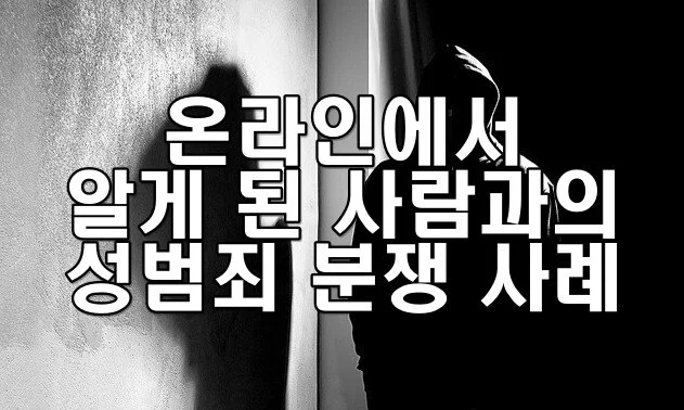 온라인에서 알게 된 사람과의 성범죄 분쟁 사례