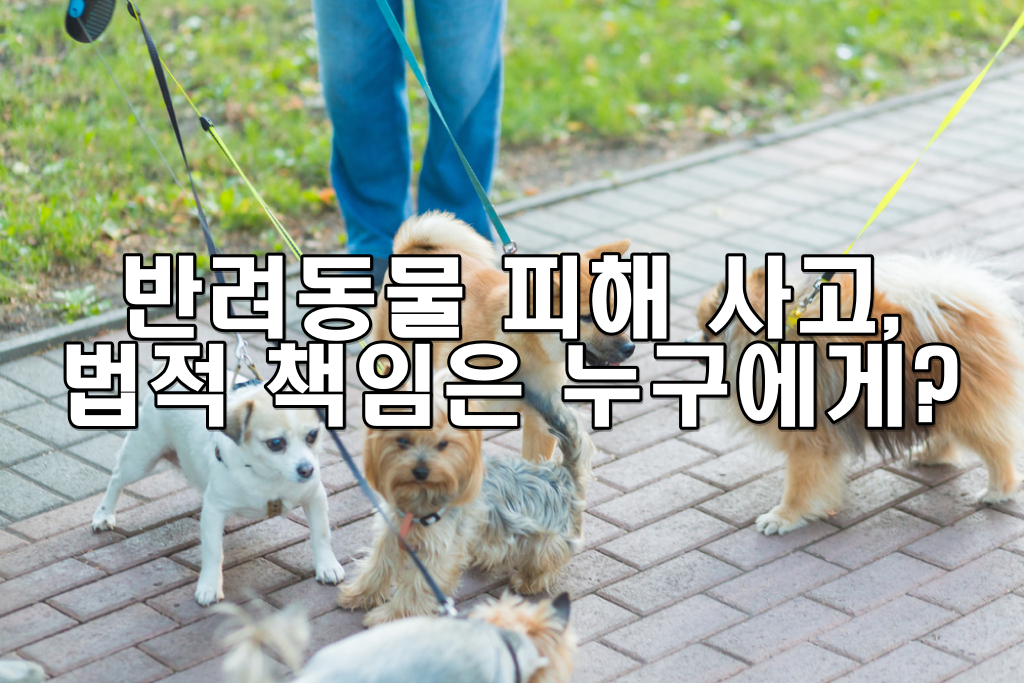 반려동물 피해 사고, 법적 책임은 누구에게?