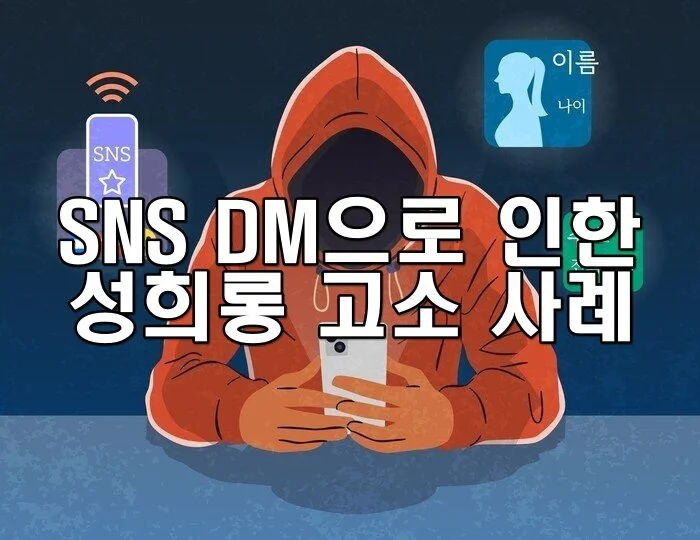 SNS DM으로 인한 성희롱 고소 사례