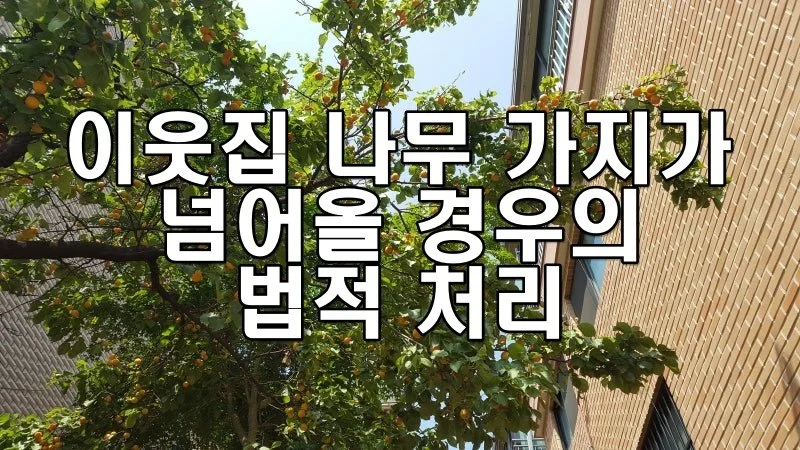 이웃집 나무 가지가 넘어올 경우의 법적 처리