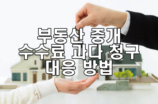 부동산 중개 수수료 과다 청구 대응 방법