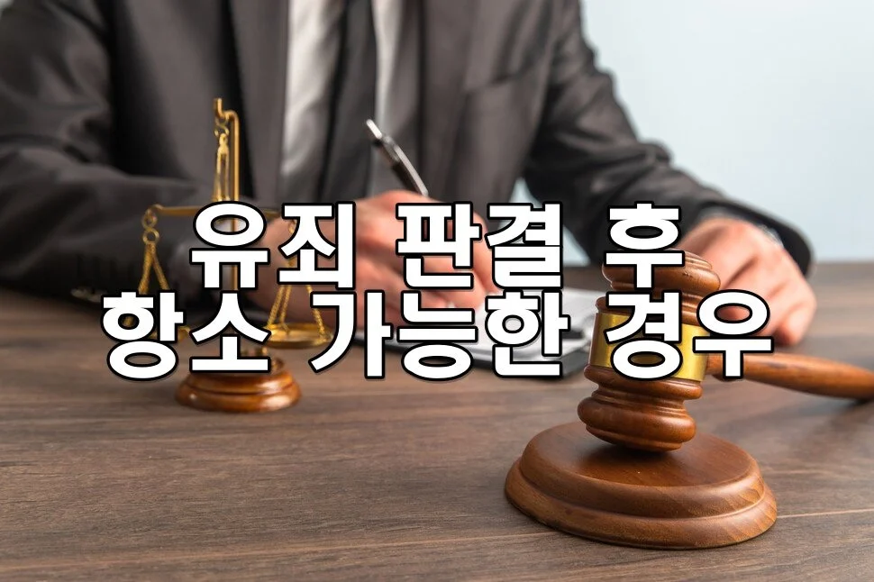 유죄 판결 후 항소 가능한 경우