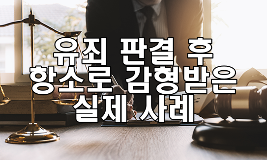 유죄 판결 후 항소로 감형받은 실제 사례