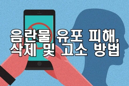 음란물 유포 피해를 당했을 때 삭제 및 고소 방법