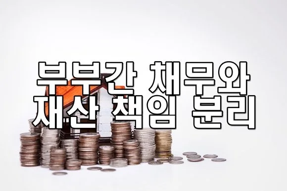 부부간 채무와 재산 책임 분리