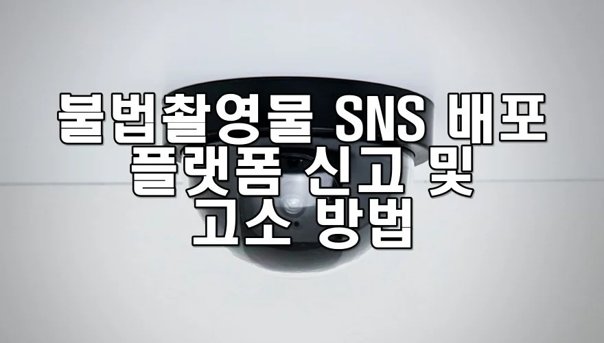 불법촬영물 SNS 배포를 발견했을 때 신고·고소 방법과 법적 대응 안내
