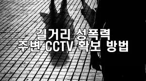 길거리 성폭력 피해 시 주변 CCTV 확보 방법
