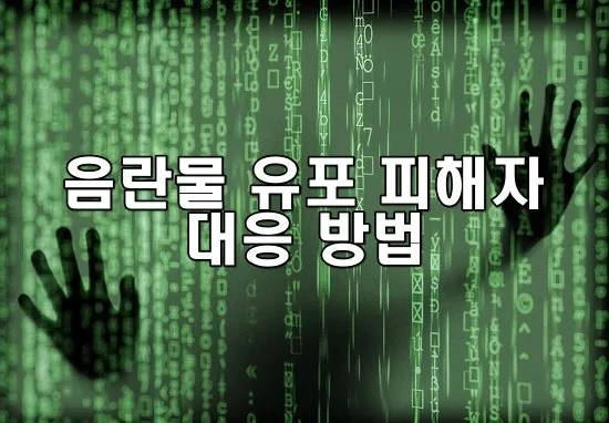 음란물 유포 피해자 법적 대응 방법