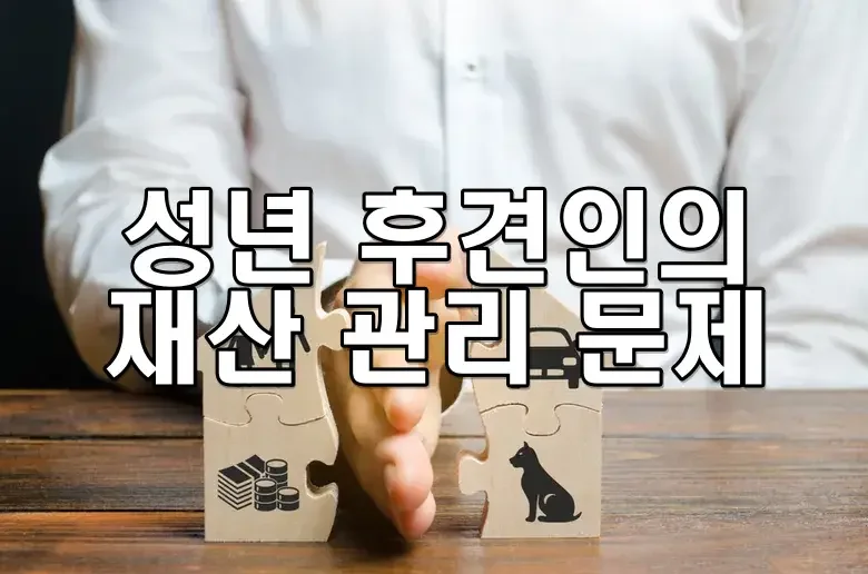 성년 후견인의 재산 관리 문제